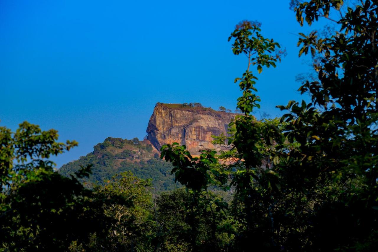 Vila Sigiri Panaromic Tree House Sigiriya Exteriér fotografie